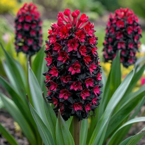 Гиацинт Джем Стоун купить по цене от 2099р. в интернет-магазине «Посадика» с доставкой почтой в в Себеже и по всей России – [изображение №1].