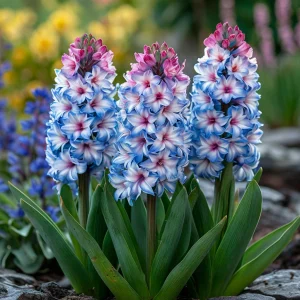 Гиацинт Пинк Мари купить по цене от 2099р. в интернет-магазине «Посадика» с доставкой почтой в в Себеже и по всей России – [изображение №1].