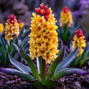 Гиацинт Миднайт Мистери купить по цене от 2099р. в интернет-магазине «Посадика» с доставкой почтой в в Себеже и по всей России – [изображение №1].