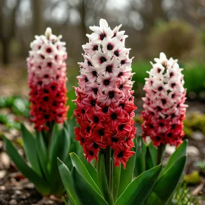 Гиацинт Скай Гарден купить по цене от 2099р. в интернет-магазине «Посадика» с доставкой почтой в в Себеже и по всей России – [изображение №1].